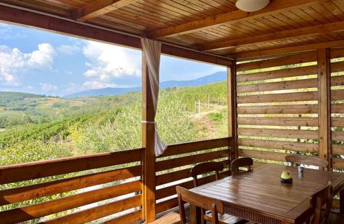 Zalosce Resort | Saxida Wine Estate