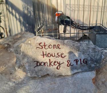 Baska Voda Villa | Sea view stone house Donkey