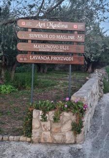 Sutomiscica Apartment | Senkini Dvori
