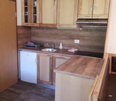 Kamnik Apartment | Simnovi apartmaji - surrounded by nature
