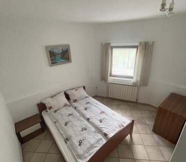 Cezsoca Apartment | Soča Kayaker
