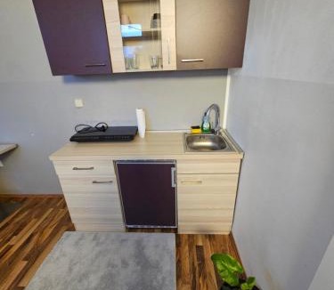 Maribor Apartment | Soba 4 v Pekrski vili