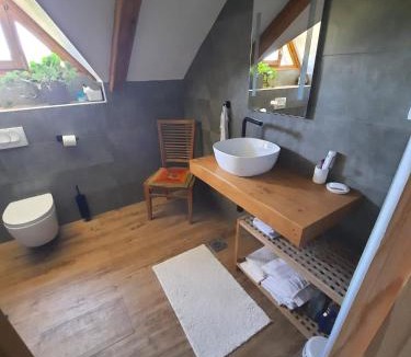 Municipality of Plaski Apartment | Soba Gallo