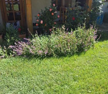 Municipality of Plaski Apartment | Soba Gallo