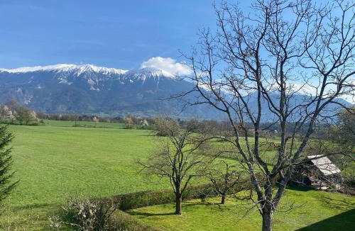 Bled Apartment | Stay Apartments Bled