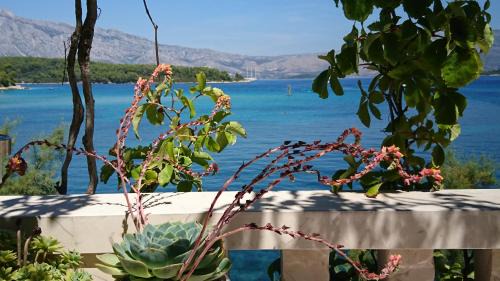 Lumbarda House | Stone house Gregov