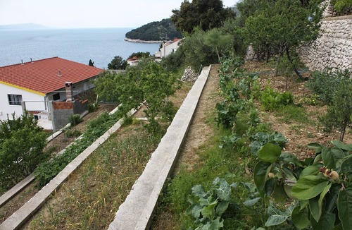 Drvenik Apartment | Studio flat with terrace and sea view Drvenik Gornja vala, Makarska (AS-4890-d)