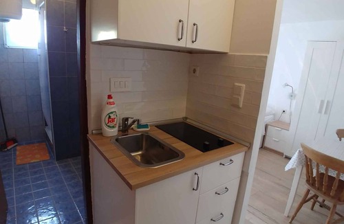 Island Dugi Otok Apartment | Studio with access to the balcony with sea view