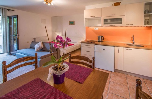 Krk Apartment | Studio with terrace and air conditioning