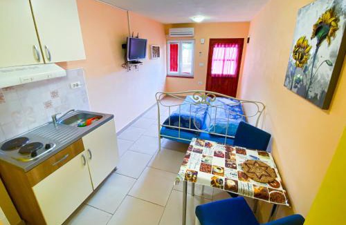 Secovlje Apartment | Synergy Deluxe Apartments
