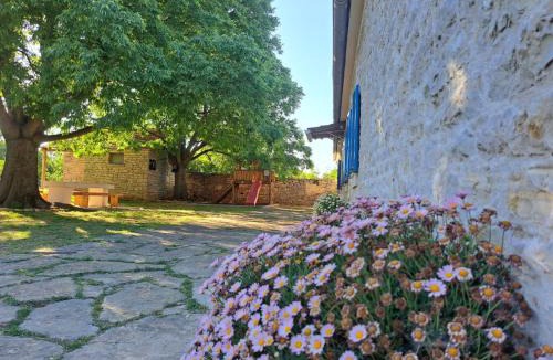 Pridraga House | The Old Stone House Dida Jure