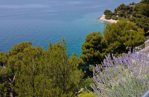 Brela Apartment | Three bedroom apartment with terrace and sea view Brela, Makarska (A-19205-c)
