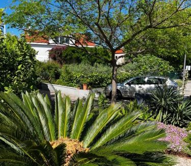 Cove Tri Zala (Zrnovo) Apartment | Tianri