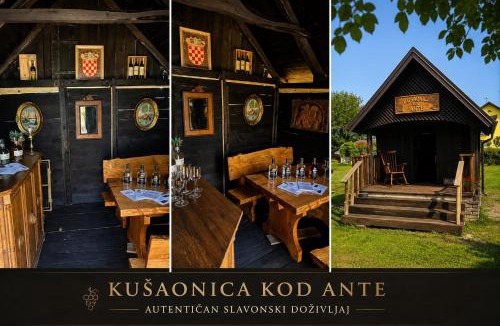 Bizovac Villa | TimeOut Bizovac Wellness House