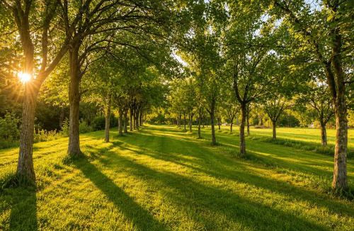 Bizovac Villa | TimeOut Bizovac Wellness House