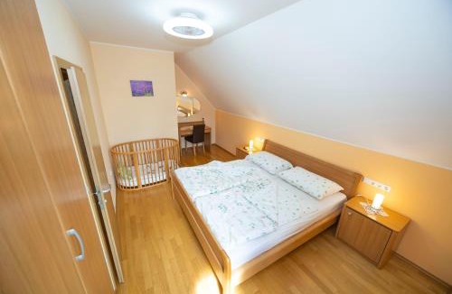 Tisina House | Tourist Farm Rajšp