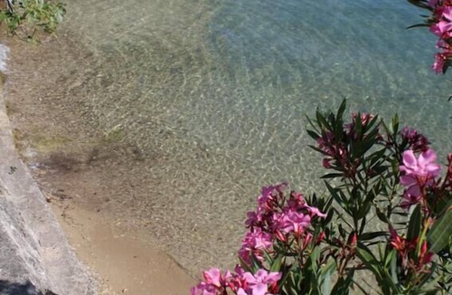 Supetarska Draga Apartment | Two bedroom apartment with balcony and sea view Supetarska Draga - Gornja, Rab (A-13645-e)