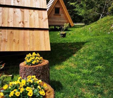 Kamnik Cabin | U KONC