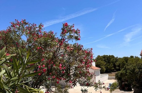 Rukavac House | Vacation Home Palma