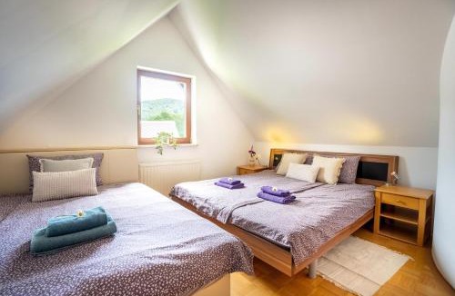 Ribcev Laz Apartment | View apartment Lenart