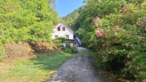 Hrastnik Villa | Vila Anton