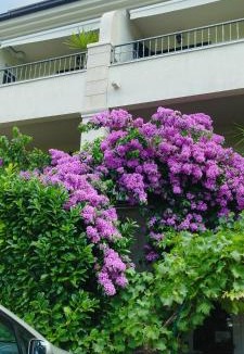 Donja luka Apartment | Vila Puharić