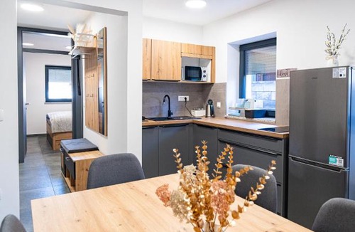 Moravske Toplice Apartment | Vila Trta
