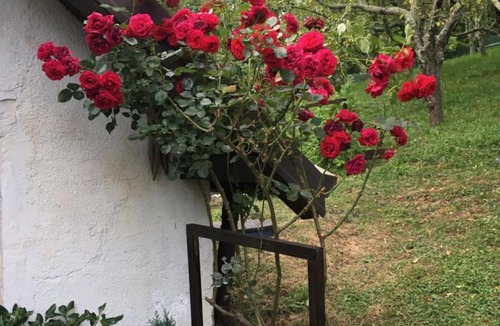 Kanal House | Vilijev Raj, Peaceful Private Cottage with Fully Fenced Garden