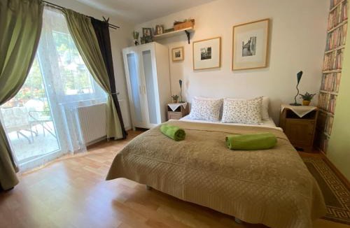 Lasko Apartment | Villa СARPE DIEM