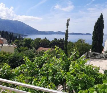 Zupa dubrovacka House | Villa Adria