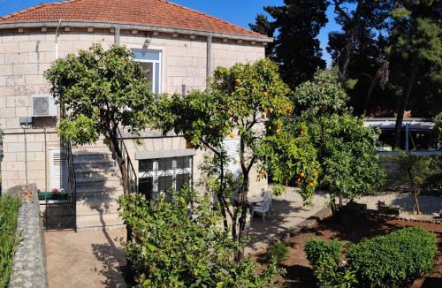 Babin Kuk Apartment | Villa Arancia