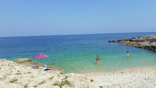 Liznjan Villa | Villa C Istria
