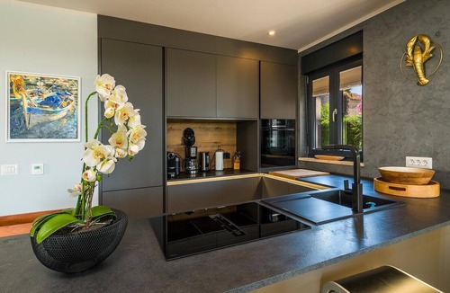 Visnjan Villa | Villa Collini in Višnjan
