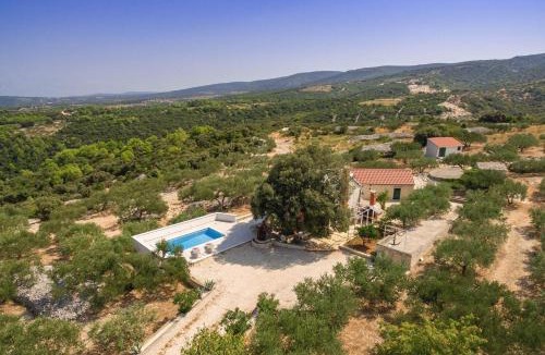 Pucisca Villa | Villa Dubrava - Heated Pool & Olive Grove Retreat I Brač Island