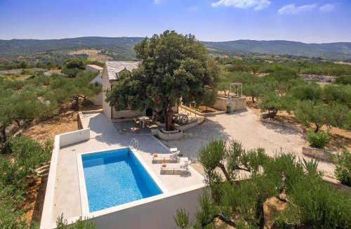 Pucisca Villa | Villa Dubrava - Heated Pool & Olive Grove Retreat I Brač Island