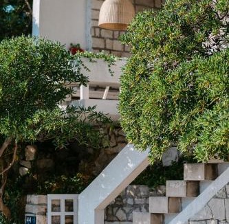 Povlja House | Villa Dzeba