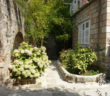 Mlini Apartment | Villa Fede