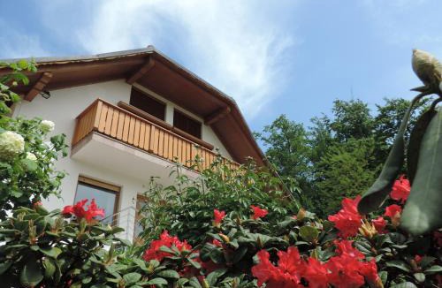 Bostanj Apartment | Villa Katarina