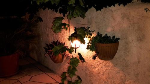 Gornji Kono Apartment | Villa Lia