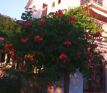 Omisalj Apartment | Villa Maja
