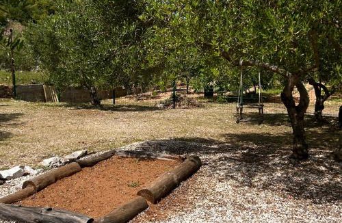 Dol Villa | Villa Olive