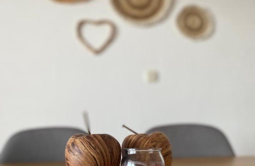 Stanici Apartment | Villa Roing R