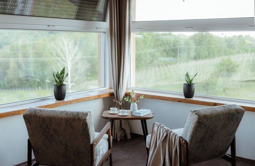 Gornji Mihaljevec House | Vinewood - Saltwater Pool, Jacuzzi and Stunning Vineyard View