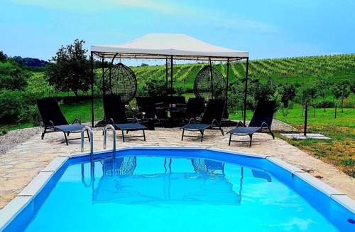 Gornji Mihaljevec House | Vinewood - Saltwater Pool, Jacuzzi and Stunning Vineyard View