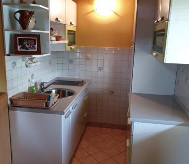 Bostanj Apartment | Vineyard Cottage Urban
