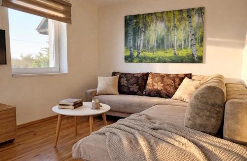 Drasici House | Vineyard Cottage with Private Jacuzzi