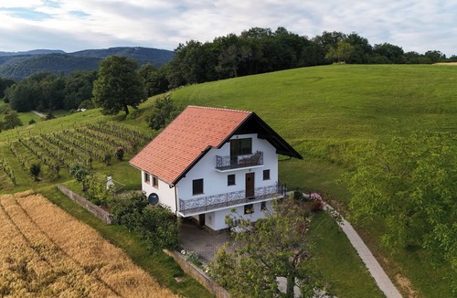 Krsko House | Vineyard studio apartment close to Rajhenburg Castle