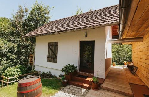 Ljutomer House | Wine & Art Lodge Jeruzalem