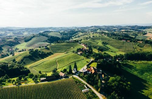 Pesnica Bed & Breakfast | Wine & Tourism Bračko
