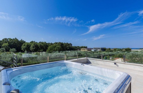Novigrad Villa | Wonderful private villa with WIFI, A/C, hot tub, private pool, TV, terrace and pets allowed